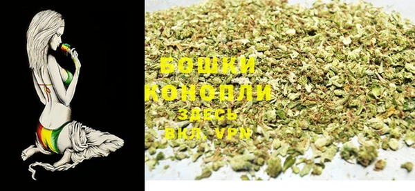 PSILOCYBIN Александровское