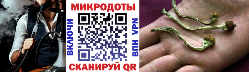 Купить где  Мыски  Галлюциногенные грибы Psilocybe